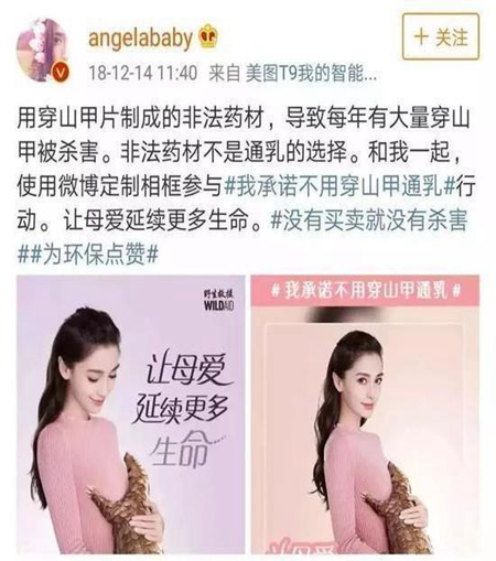 杨颖拍公益广告帮倒忙 背后事件真相始末曝光