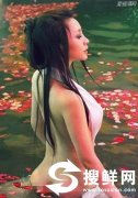 柳岩胸有多大？ 柳岩靠“胸”成名三围数据性感火辣照曝光