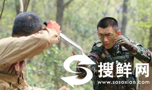 我是特种兵之霹雳火哪里能观看全集 免费下载全集剧情介绍_sosoxian.com