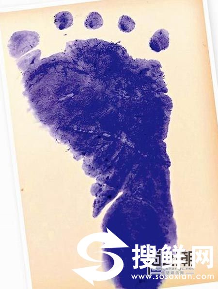 凤小岳是谁个人资料揭秘 详解凤小岳和锦荣的关系_sosoxian.com
