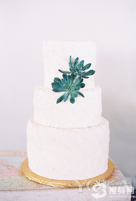 在三层白色蛋糕上插上两株多肉植物瞬间清新感倍增。
