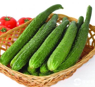 减肥蔬菜有哪些_减肥蔬菜排行榜_减肥蔬菜沙拉|食谱|汤的做法大全