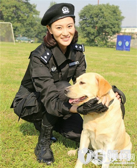  警花与警犬樱桃拨打110智擒赵老板 狗真的会拨打电话吗