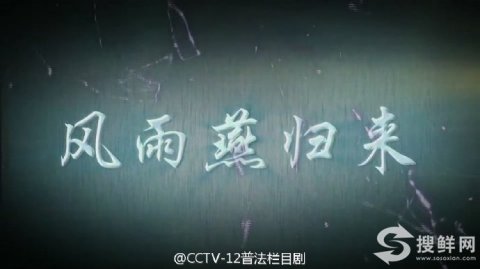 普法栏目剧《风雨燕归来》全集大结局剧情 cctv12风雨燕归来演员表