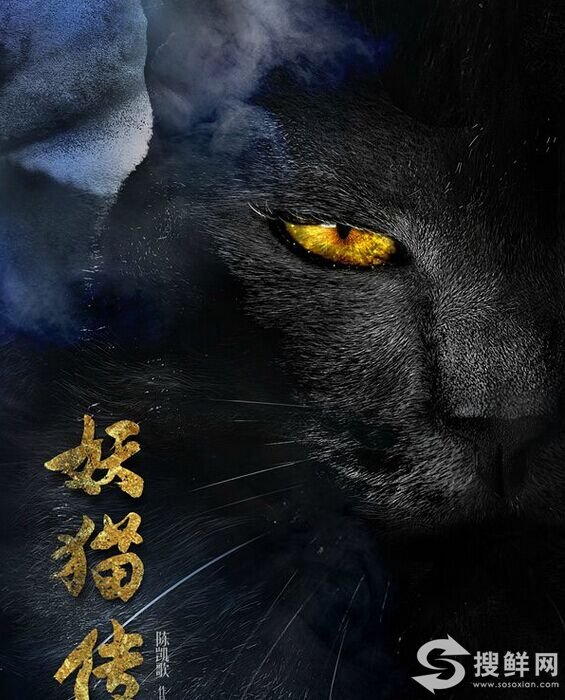 电影《妖猫传》什么时候上映 改编自日本奇幻小说《沙门空海》