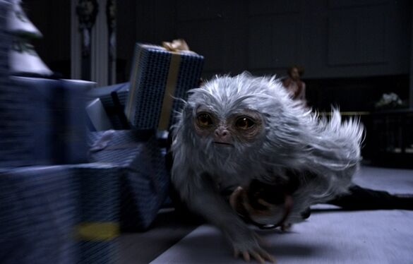 电影《神奇动物在哪里》剧情分析 3D魔幻视效超《哈利波特》_www.sosoxian.com
