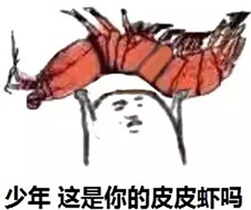 皮皮虾我们走什么意思 皮皮虾是什么梗来源出处介绍