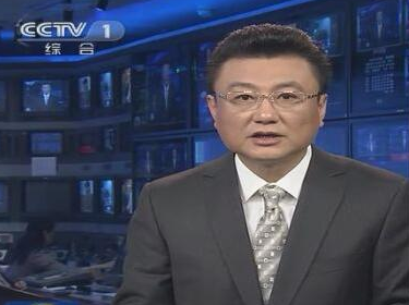 王宁告别央视《新闻联播》主播台 王宁个人资料其妻竟然是经金龟子