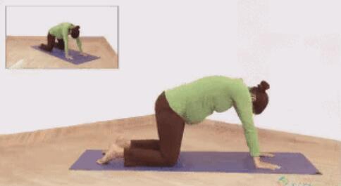 孕期瑜伽运动怎么做