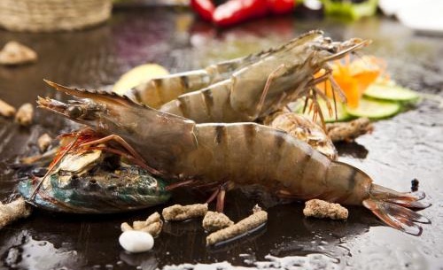 虾不能和什么一起吃会危害身体 4类和虾相克的食物一定要注意