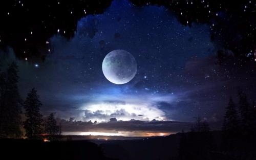 今晚月色真美什么意思下一句是什么 今晚月色真美怎么接