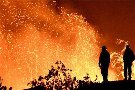 云南森林火灾2020最新消息 云南森林火灾消防员牺牲火因是什么