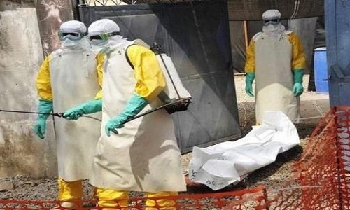 刚果埃博拉疫情最新公告数据详情 埃博拉疫情爆发最新消息