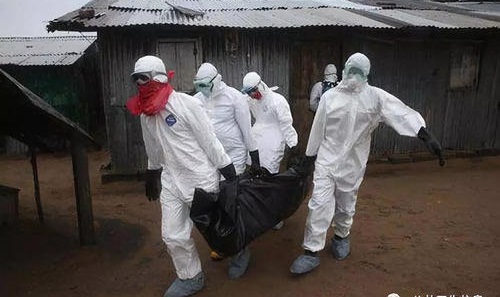 刚果埃博拉疫情最新公告
