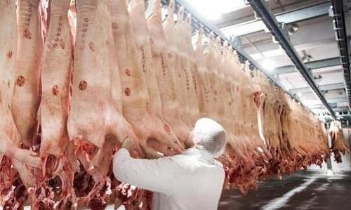 德国最大肉类加工厂聚集性感染