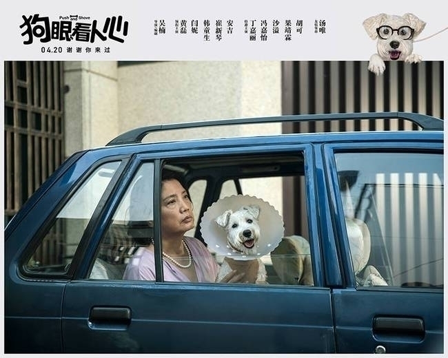 《狗眼看人心》终极预告 黄磊闫妮为爱犬当一次英雄