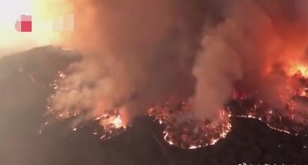 烧了4个月的澳洲山火180人涉嫌纵火被捕 澳大利亚林火竟是人祸