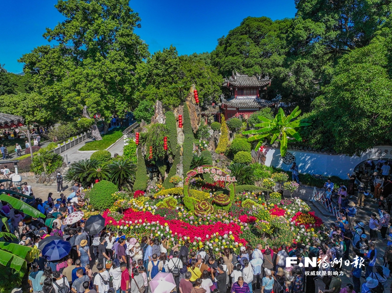 秋日“醉”美菊花香！福州西湖菊展2日迎客近6万人次