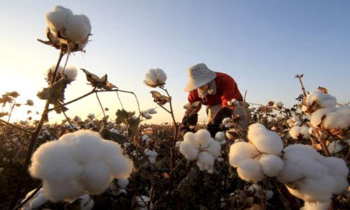新疆棉花事件怎么了 hm耐克阿迪等多品牌抵制遭怼中国自己还不够用