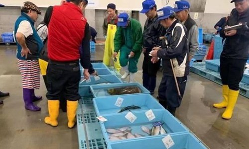 韩民众拉黑日本海鲜 日本核废水排海渔业界恐受打击