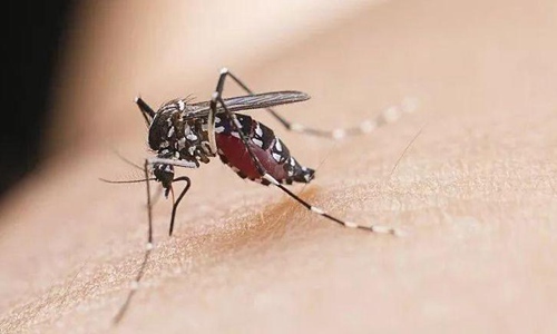 驱蚊子最有效的方法都有哪些 蚊子喜欢叮咬什么血型的人